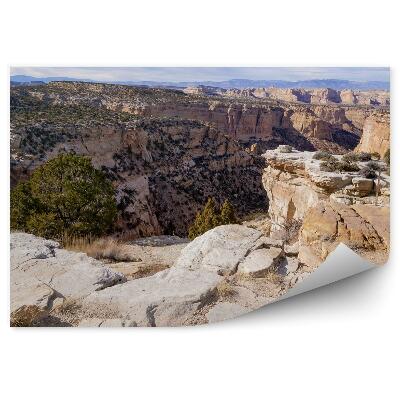 Fototapeta na stenu Hory Skaly Púšť Stromy Obloha Mraky