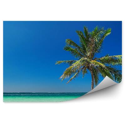 Fototapeta Tropická Pláž Oceán Palmy Nebo