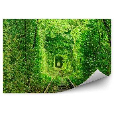 Fototapeta Zelený tunel stromové dráhy