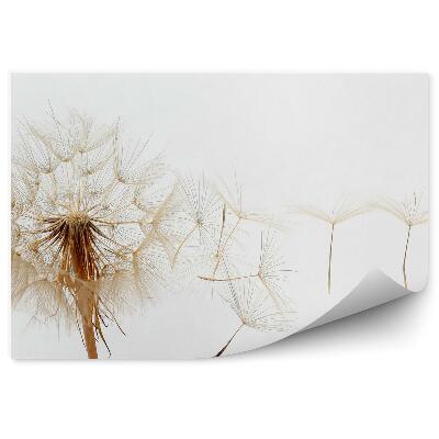 Fototapeta na stenu Semienko Fúkačky