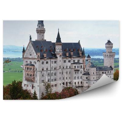 Fototapeta na stenu Skalný kopec stromy hrad horizont