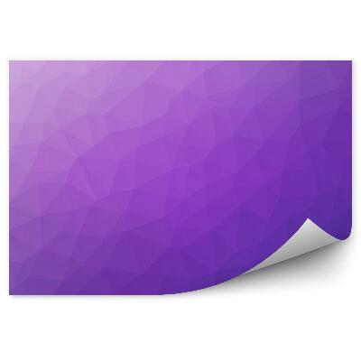 Fototapeta na stenu Polygonálny gradient fialová
