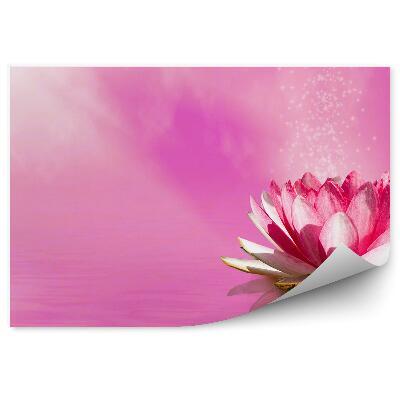 Fototapeta na stenu Ružový Lotosový Kvet Slnečné Lúče Ružové Pozadie