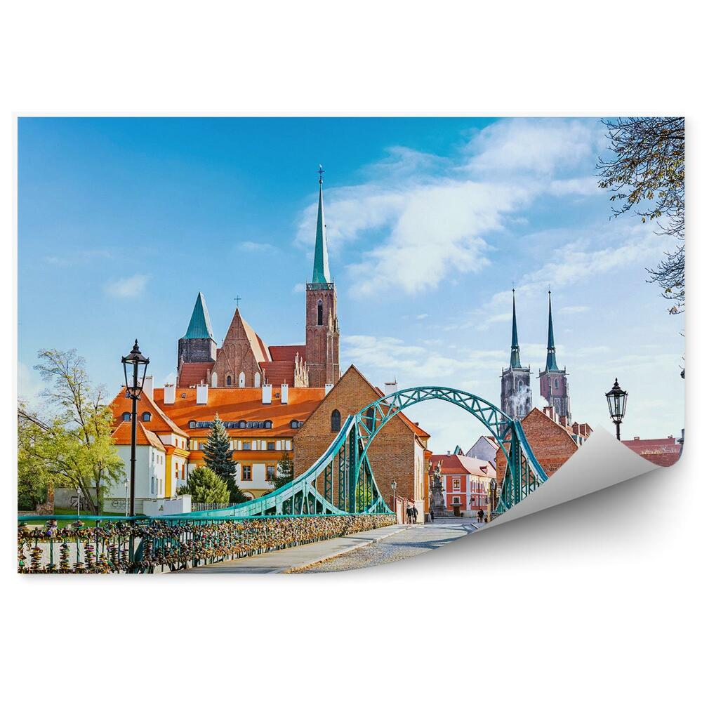 Fototapeta na stenu Most tumski katedrála kraven sochy budovy obloha mraky stromy kmene