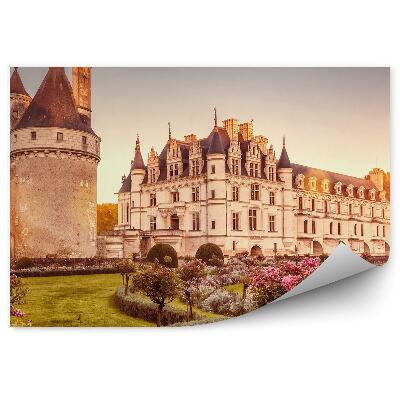 Fototapeta Palác záhrada kríky kvety francúzsko západ slnka