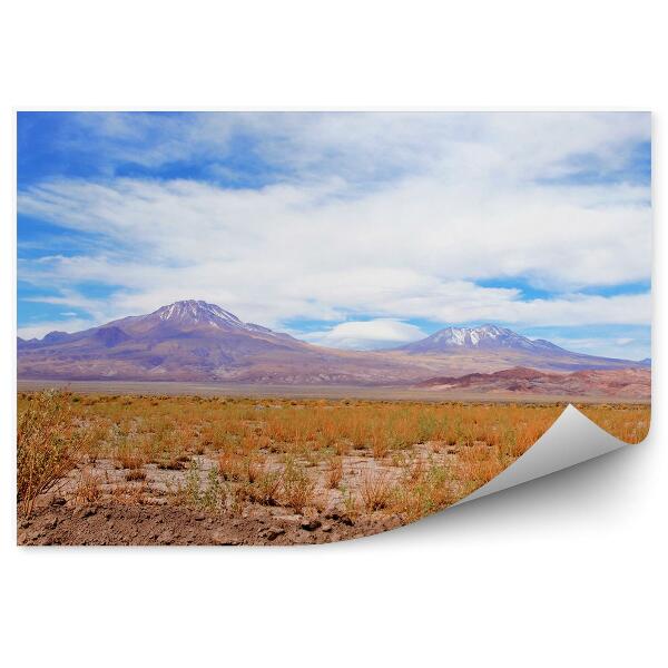 Fototapeta na stenu Panoramatický Pohľad Na Púšť Atacama Hory Obloha Mraky