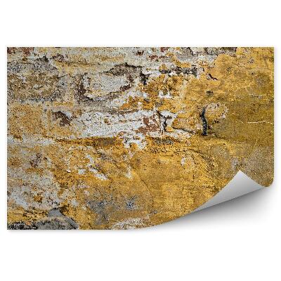 Fototapeta na stenu Tehlová stena s opadávajúcou omietkou