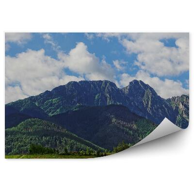 Fototapeta na stenu Giewont hory stromy tráva nebo mraky tatry