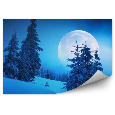 Fototapeta na stenu Zimný les hory mesiac noc