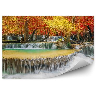 Fototapeta na stenu Jesenné kaskády lesné listy strom