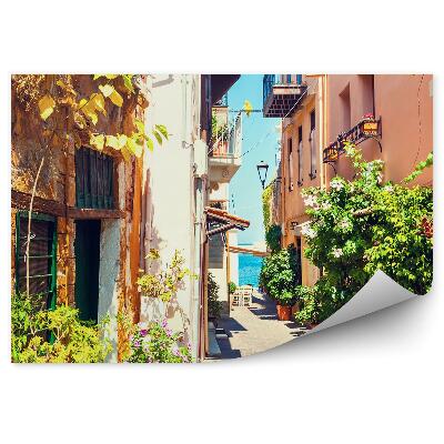 Fototapeta na stenu Ulica Vegetácia Stromy Modrá Mesto