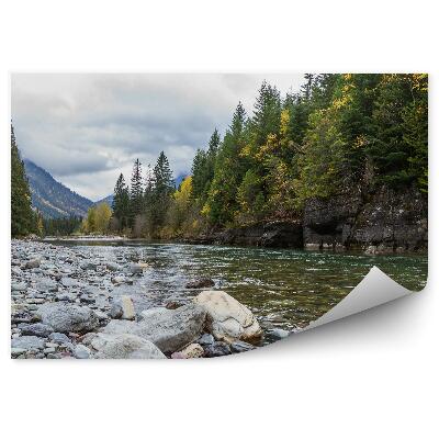 Fototapeta Vianočné stromčeky zelený les rieka kamene kopce