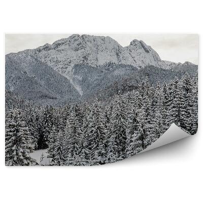 Fototapeta Giewont ihličnaté stromy zimný sneh obloha mraky tatry