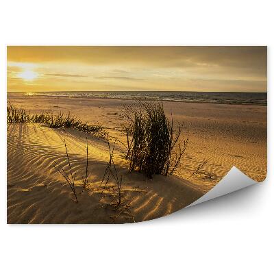 Fototapeta na stenu Duny tráva slnko voda