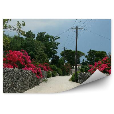 Fototapeta na stenu Okinawa Japonsko Flóra Kvety