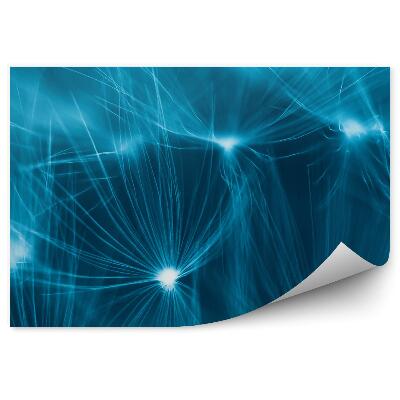 Fototapeta Dúhovka Modré Pozadie