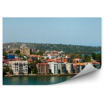 Fototapeta Budovy stromy obloha hodnotenie Sydney