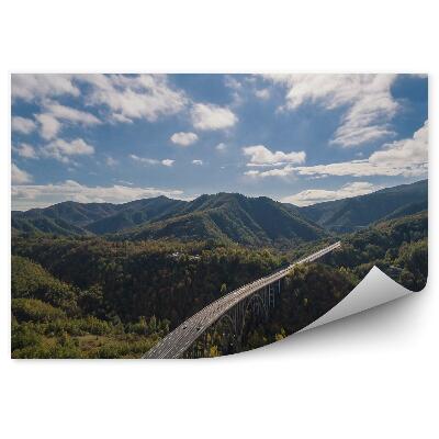 Fototapeta Most čez drevesa gozd cesta avtomobili