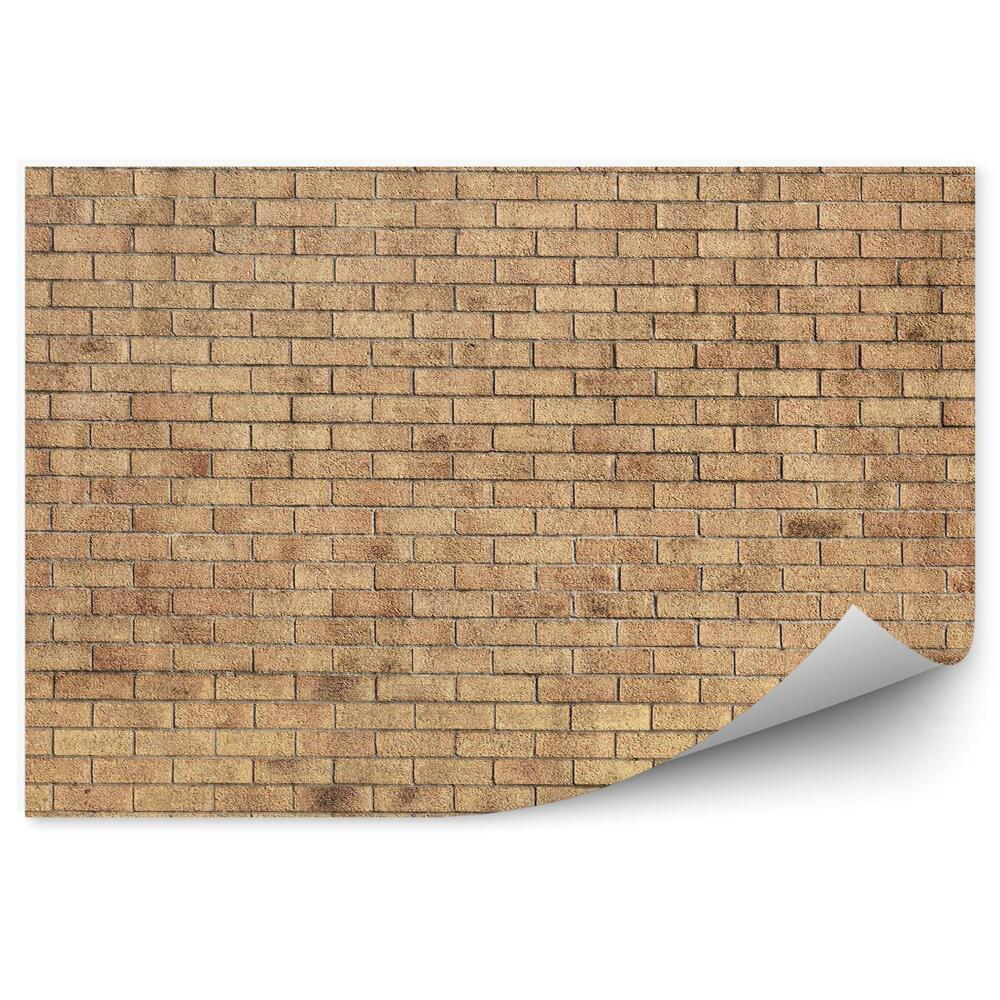 Fototapeta na stenu Žlté tehlové murivo