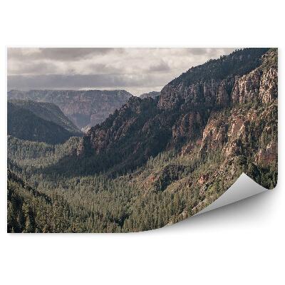 Fototapeta Hory Arizona stromy ihličnaté obloha mraky kalifornia