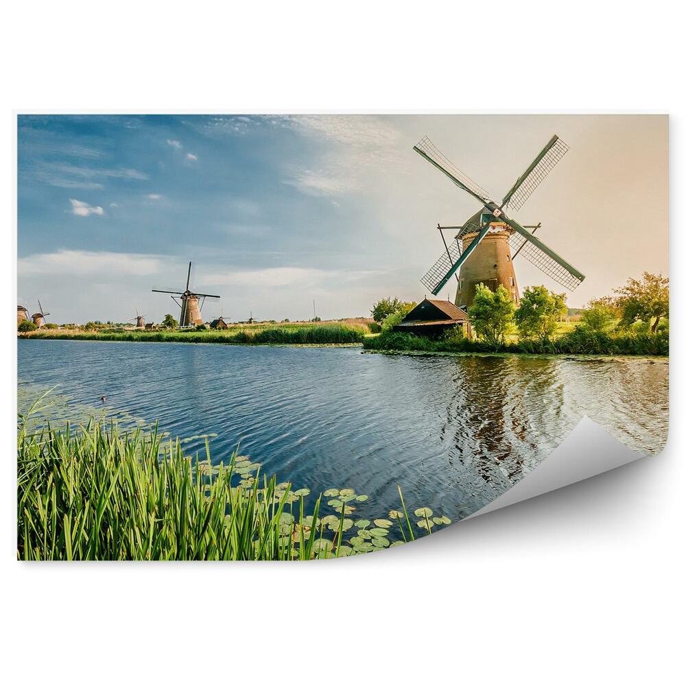 Fototapeta Poletje v Rotterdamu Nizozemski mlini na veter