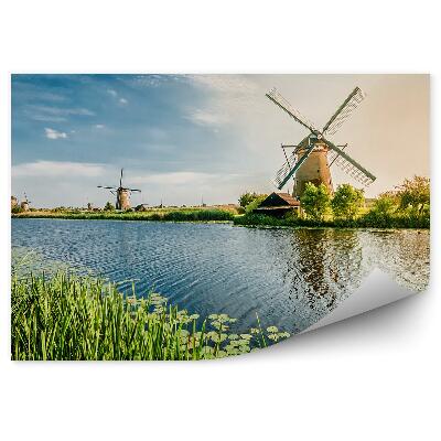 Fototapeta Poletje v Rotterdamu Nizozemski mlini na veter