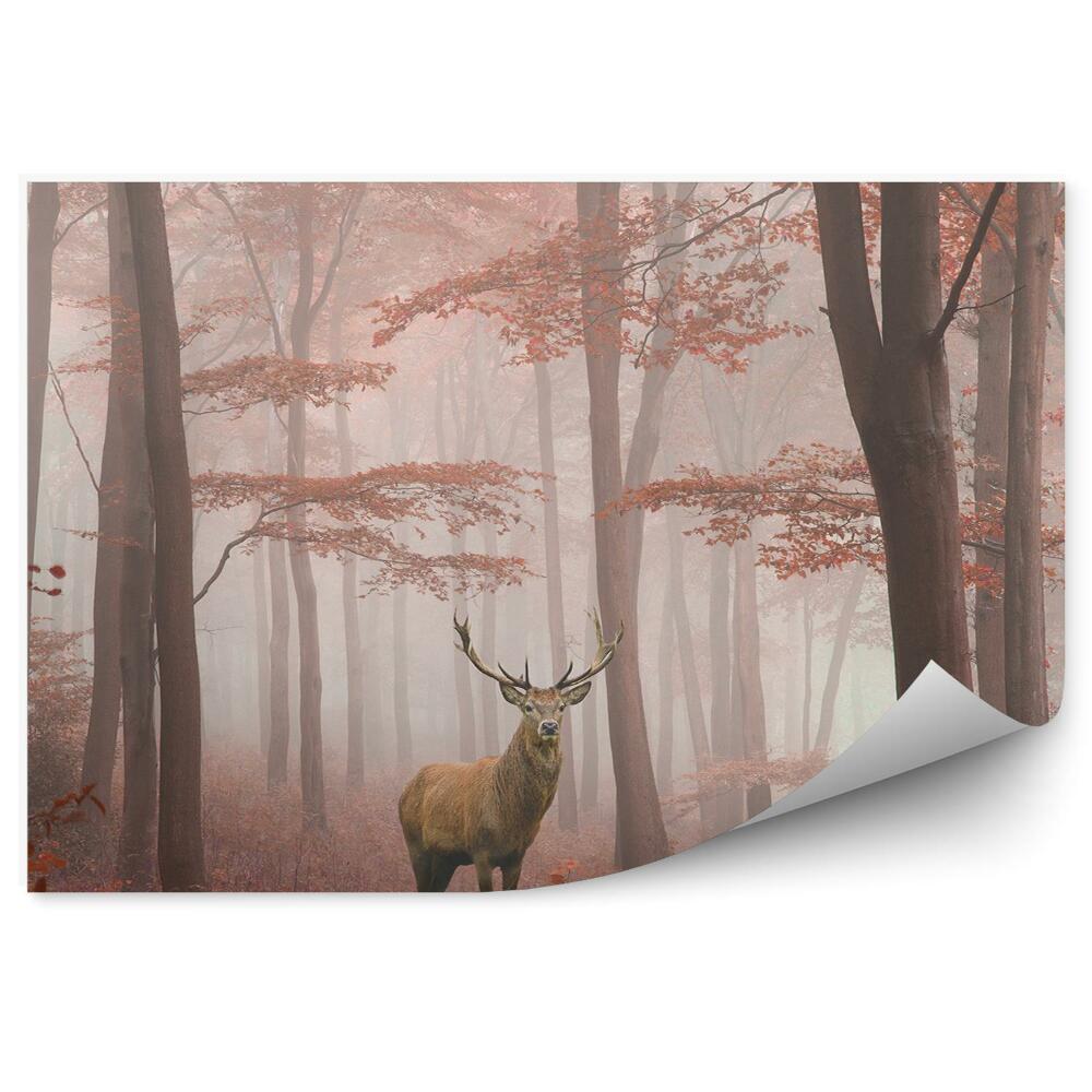 Fototapeta na stenu Jesenný les s jeleňou hmlou