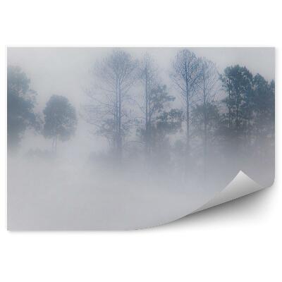 Fototapeta na stenu Hmlistý les