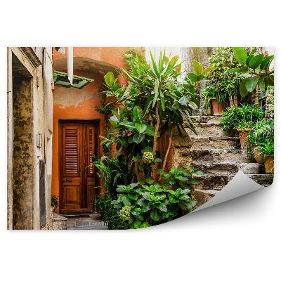 Fototapeta Staro kamnito stopnišče zelene lončene rastline