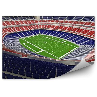 Fototapeta na stenu Igrišče za ameriški nogomet 3d