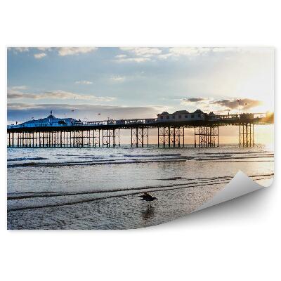 Fototapeta na stenu Brighton Mólo Lunapark Oceán Obloha Mraky Vták