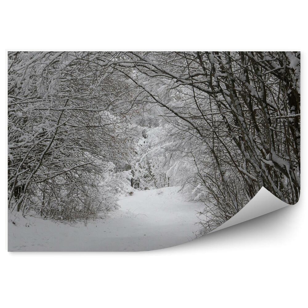Fototapeta na stenu Tunel so snehovým stromom