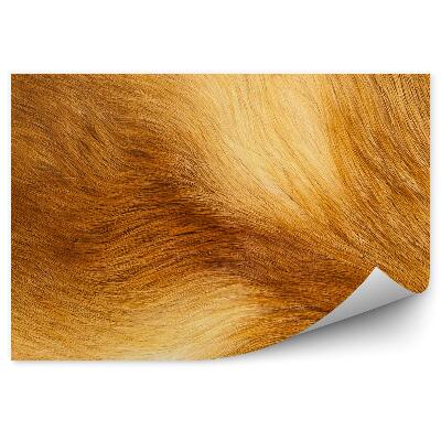 Fototapeta na stenu Oranžová líščia kožušina