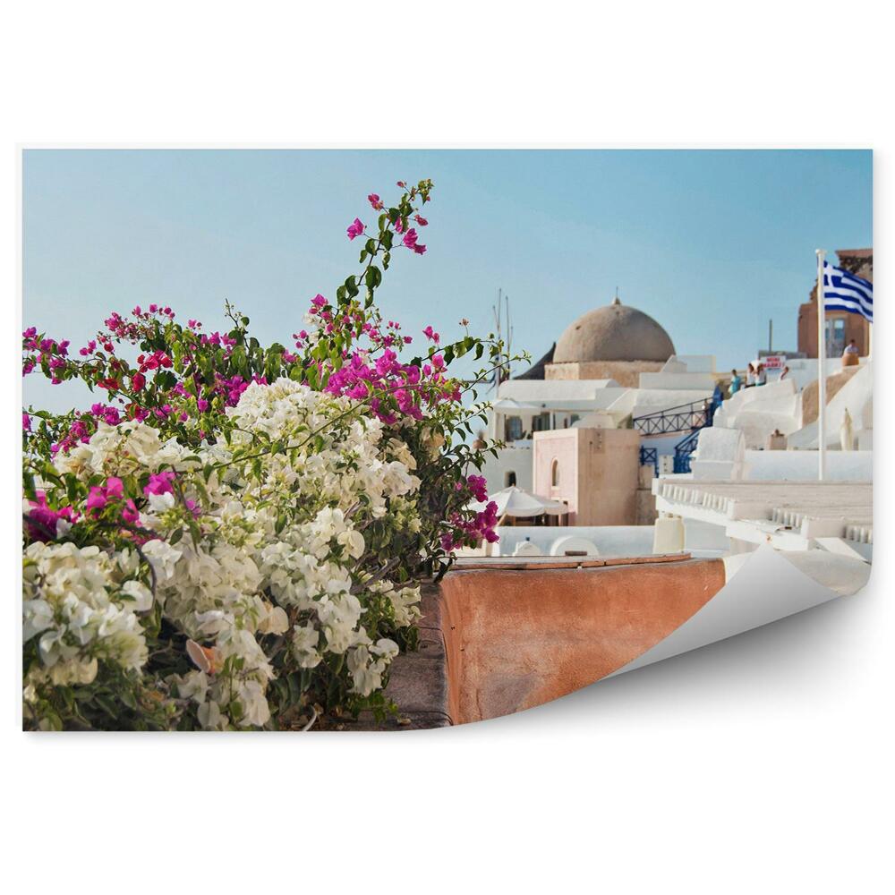 Fototapeta Kvety rastliny budovy obloha Santorini Grécko vlajka