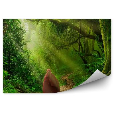 Fototapeta Obrázok vegetácia na cestičke