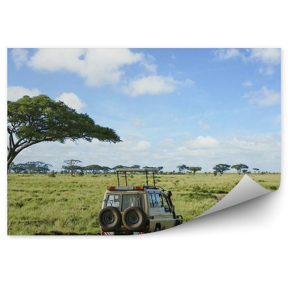 Fototapeta Off-road auto strom tráva kaluže cesta nebo mraky Safari