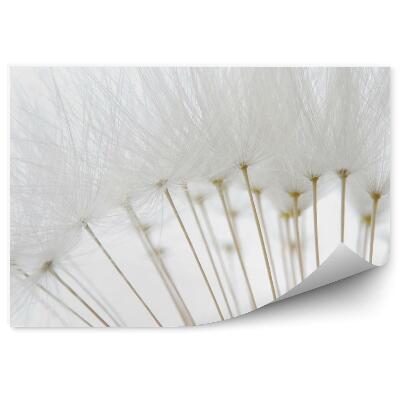 Fototapeta na stenu Kvapky Rosy