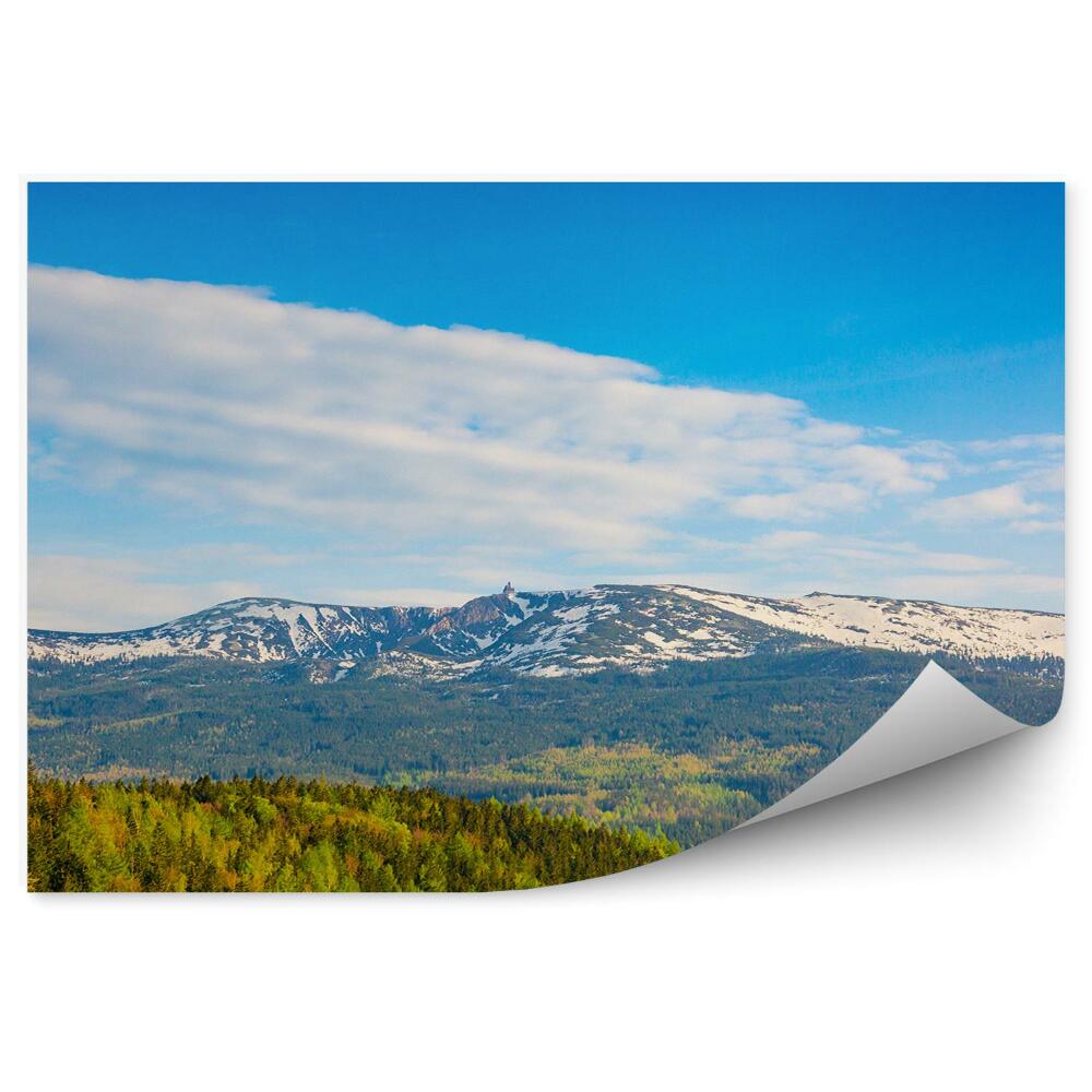 Fototapeta na stenu Zelené lesy horská krajina Krkonoše