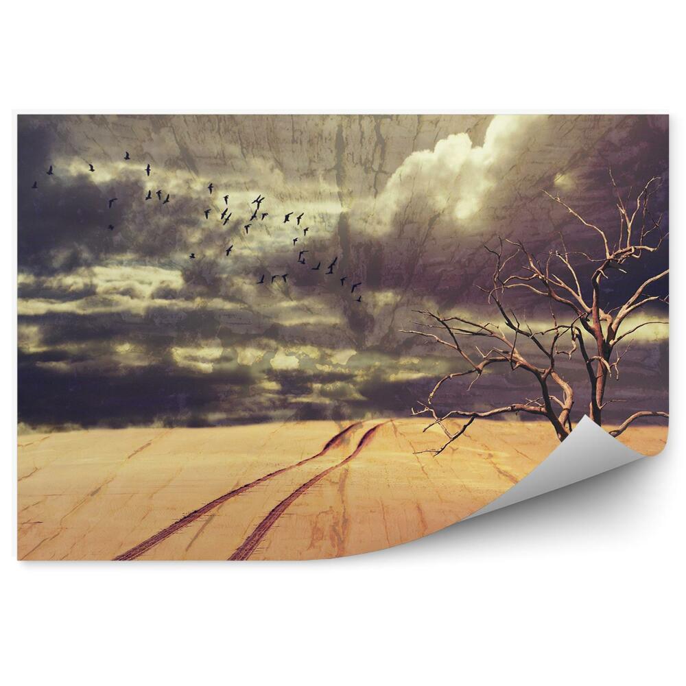 Fototapeta na stenu Púštna Krajina Vtáky Stromy Mraky Púšť