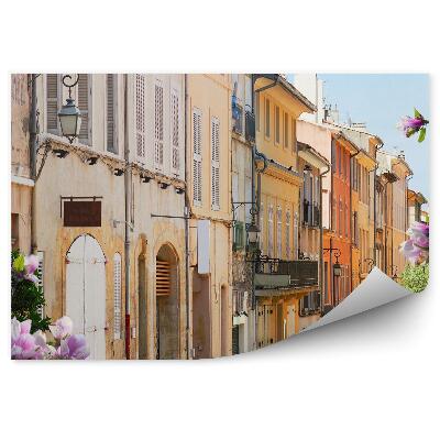 Fototapeta Staré mesto magnólie aleja Provence Francúzsko