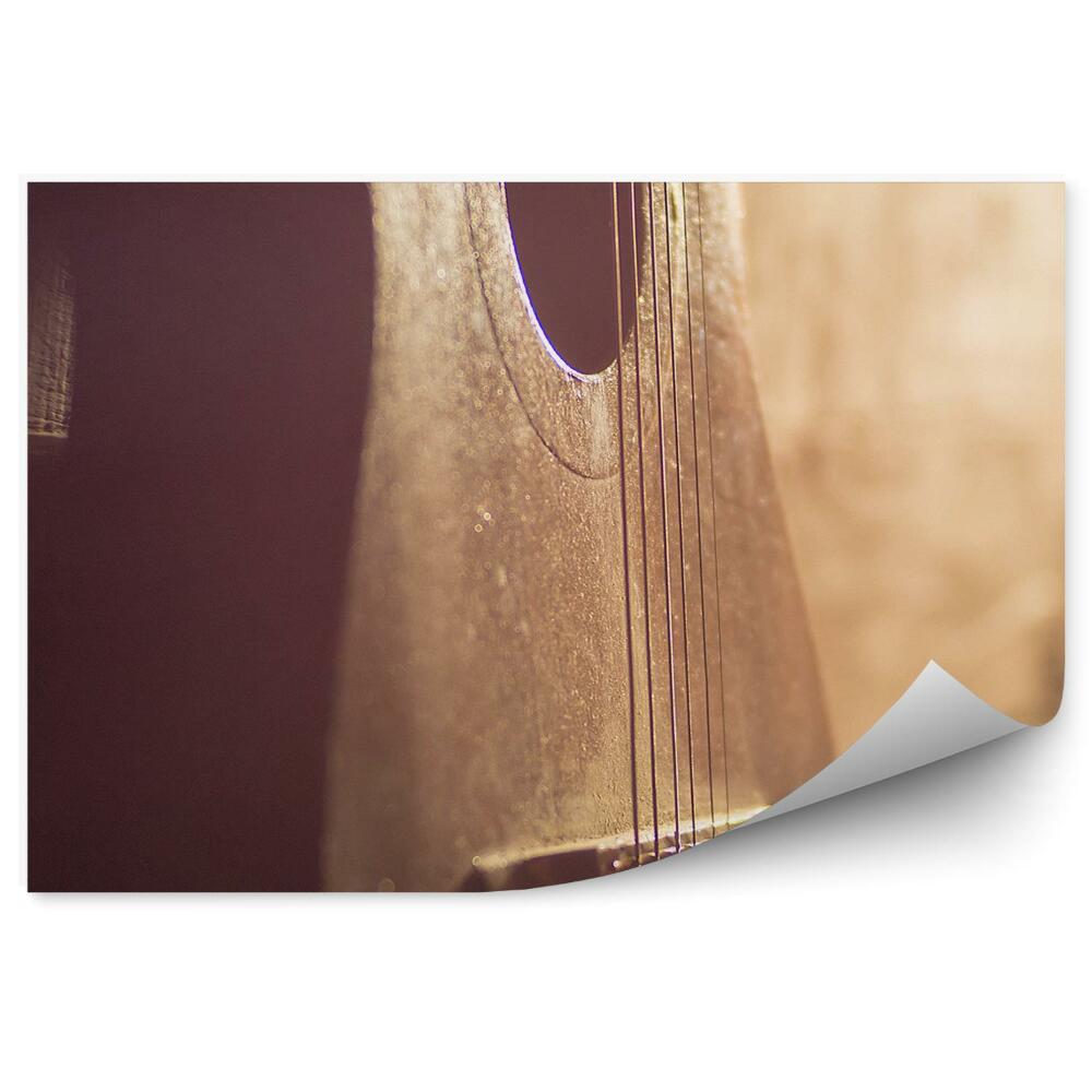 Fototapeta na stenu Akustická gitara stena