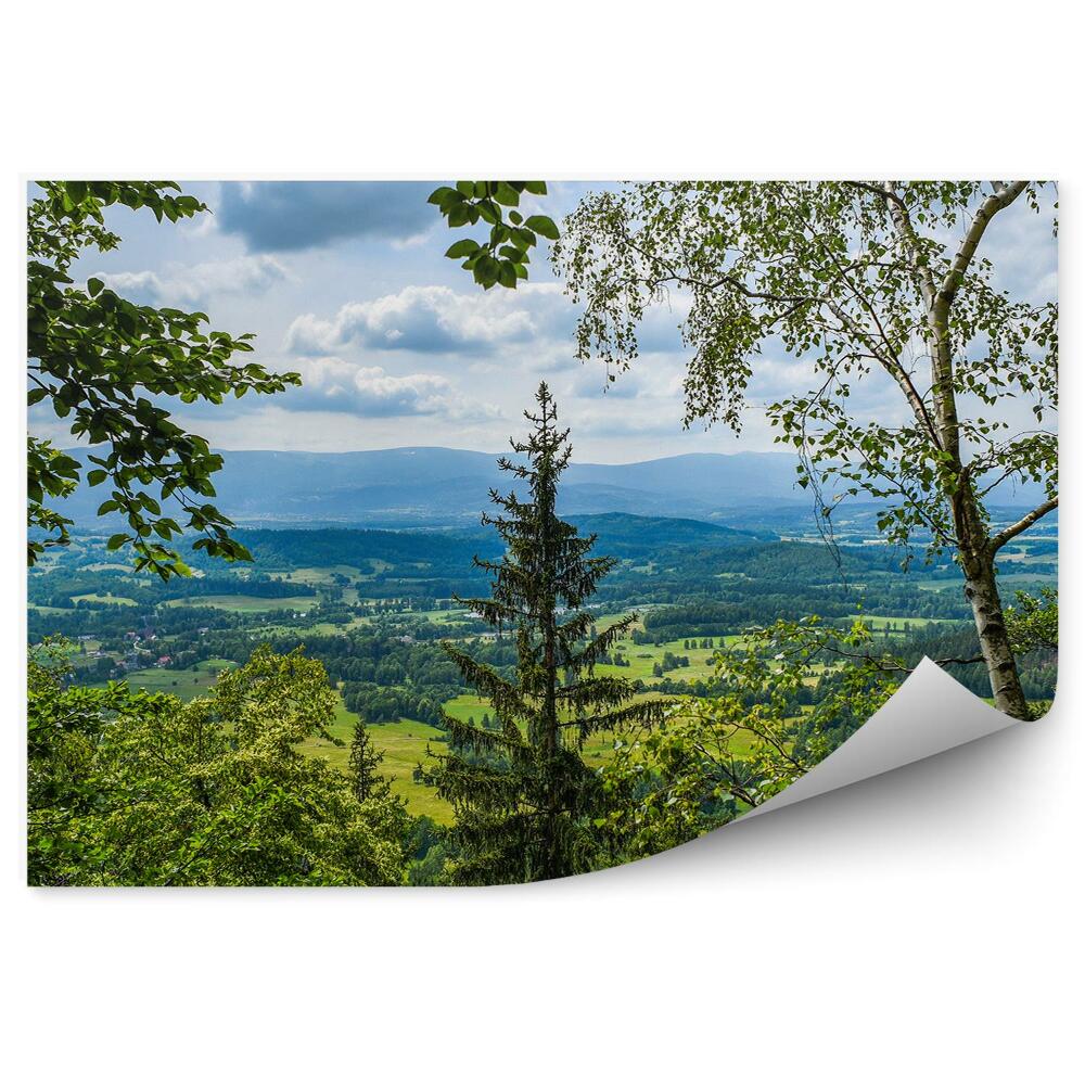 Fototapeta na stenu Pohľad z lesa na horské poľany dediny