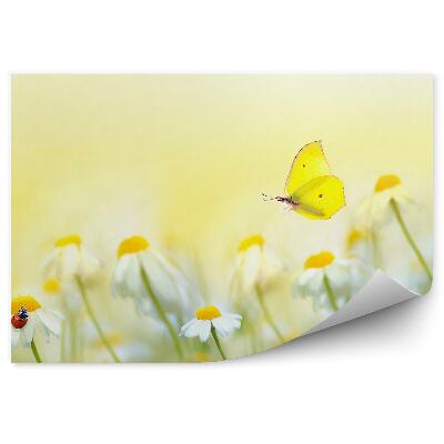 Fototapeta Kvety slnečná lúka letná babôčka motýľ