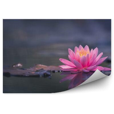 Fototapeta na stenu Ružový Lekno Na Tmavom Rybníku