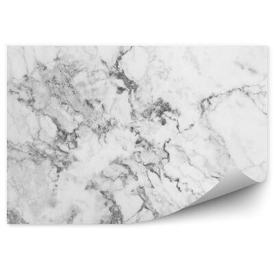 Fototapeta na stenu Biely sivý mramor