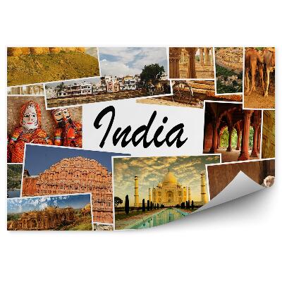 Fototapeta Koláž Obrazy India Chrám Opice