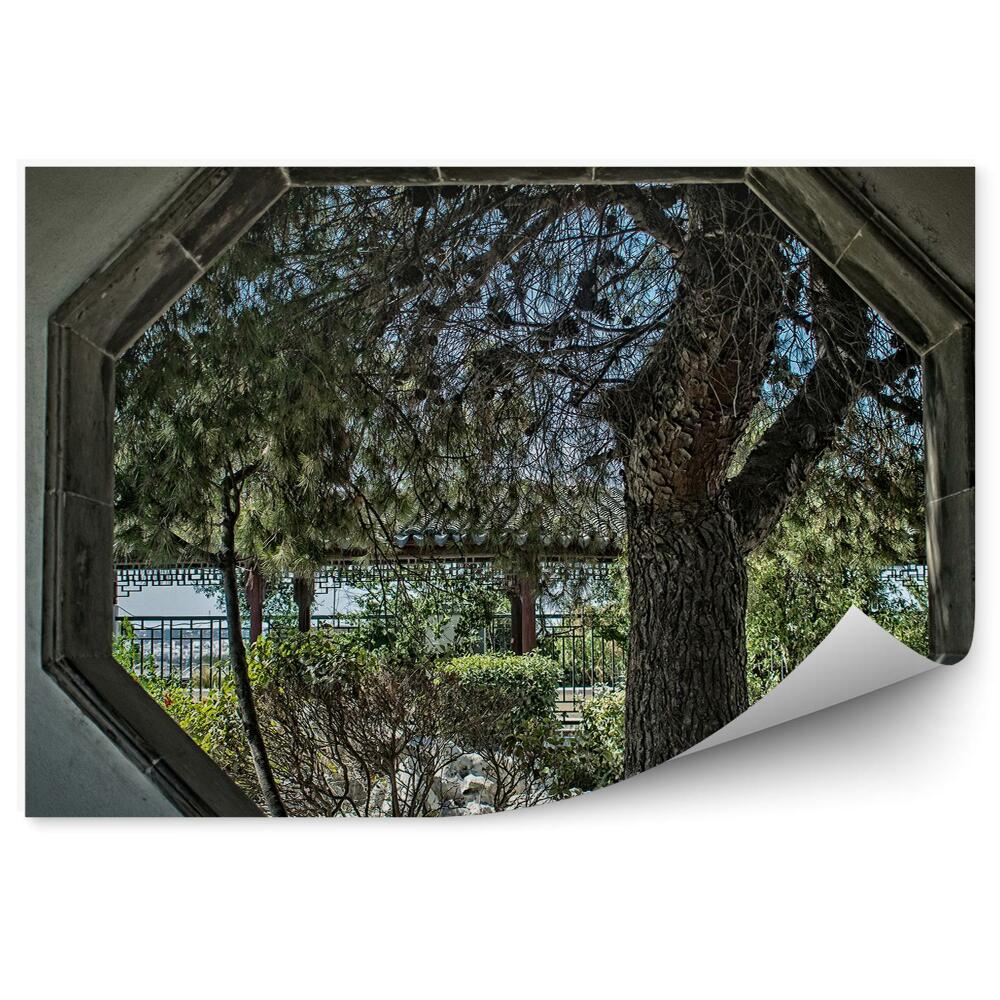 Fototapeta na stenu Sivá betónová stena okno s výhľadom na park