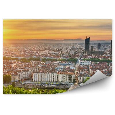 Fototapeta Pohľad z vtáčej perspektívy mesto mrakodrapy stromy rastliny západ slnka rieka