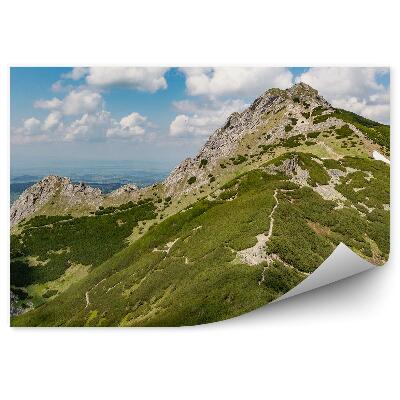 Fototapeta na stenu Giewont vrcholy tatry giewont vegetácia