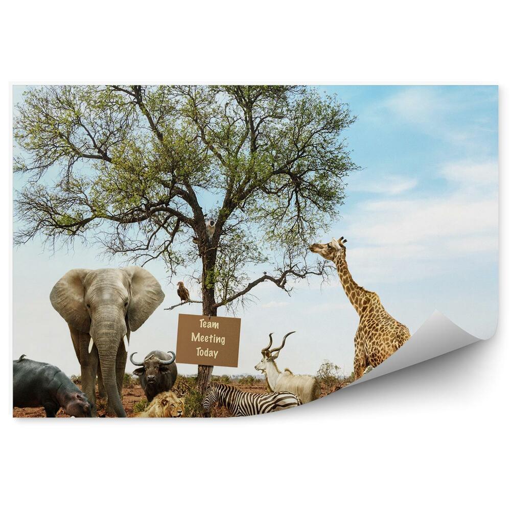 Fototapeta na stenu Zvieratá savana strom znak